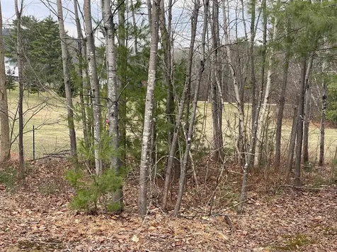 29 Ossipee Lake Drive Ossipee NH 03814