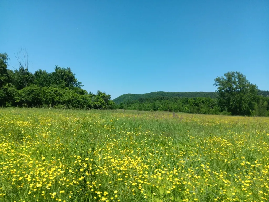 308 Horseshoe Barn Road Georgia VT 05468