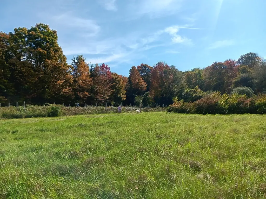 308 Horseshoe Barn Road Georgia VT 05468