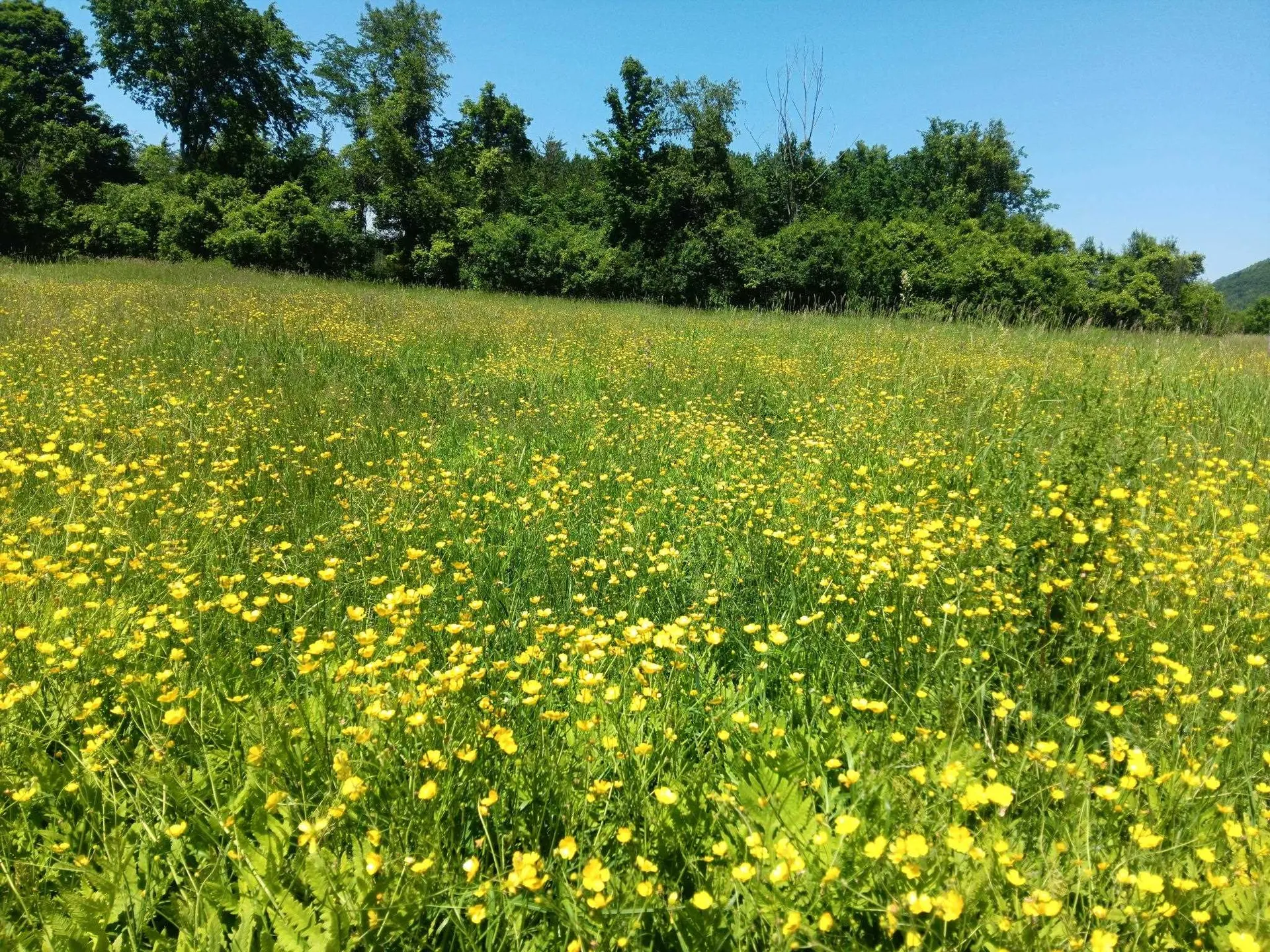 308 Horseshoe Barn Road Georgia VT 05468