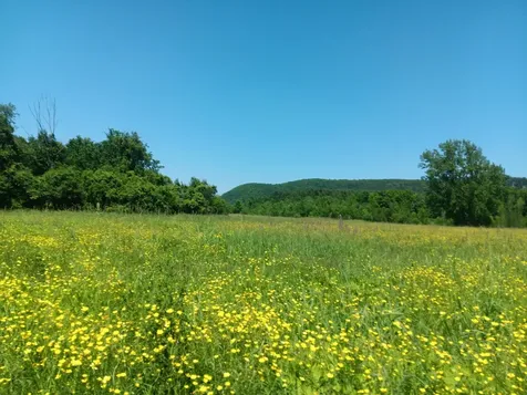 308 Horseshoe Barn Road Georgia VT 05468