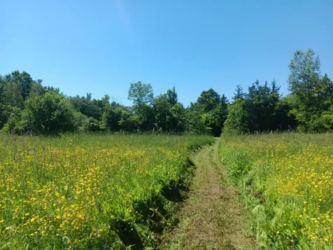 308 Horseshoe Barn Road Georgia VT 05468