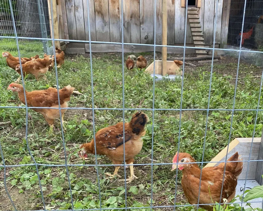 177 Woodman Road Sanbornton NH 03269