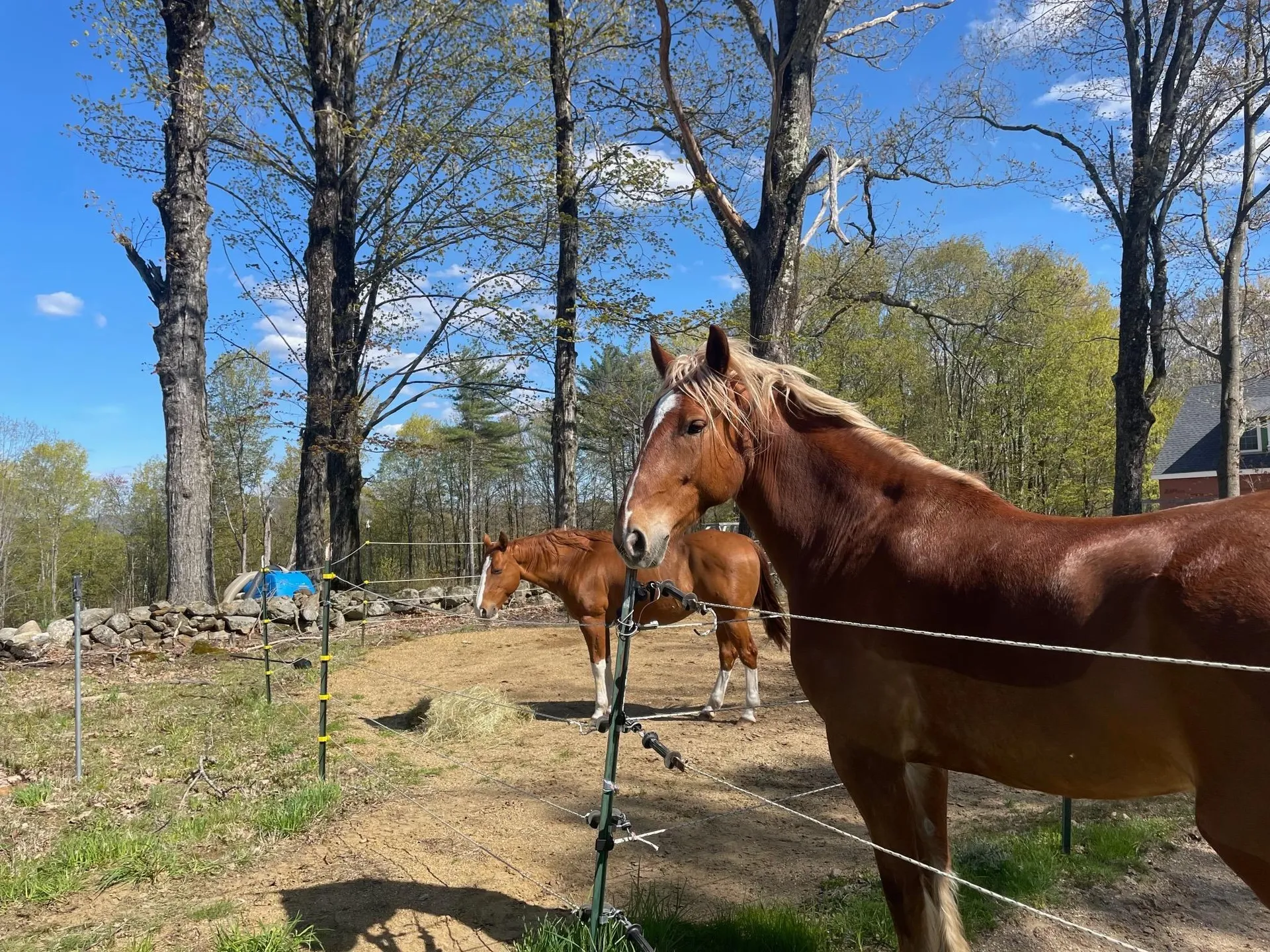 177 Woodman Road Sanbornton NH 03269