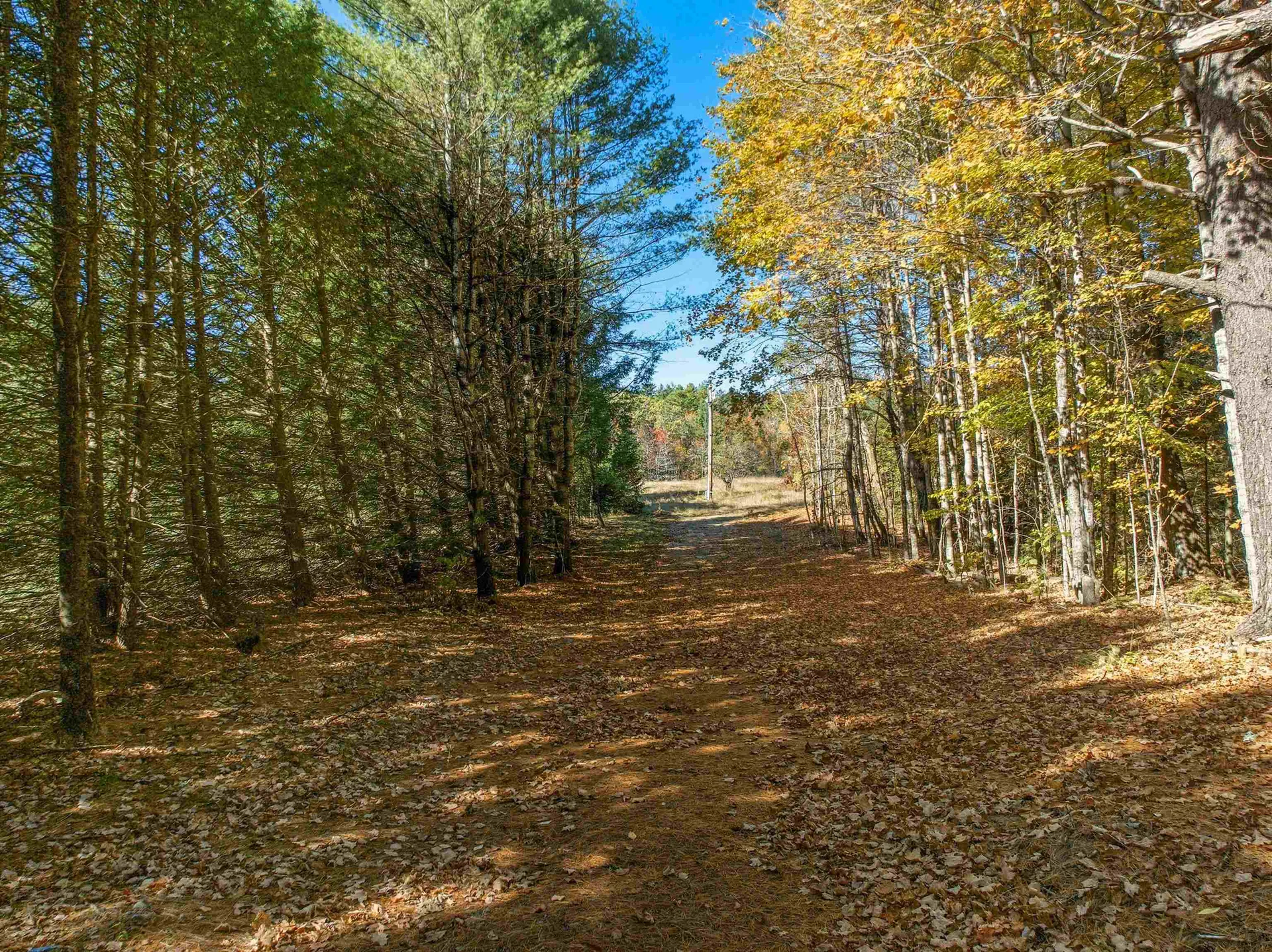 115 Adams Farm Road Thornton NH 03285