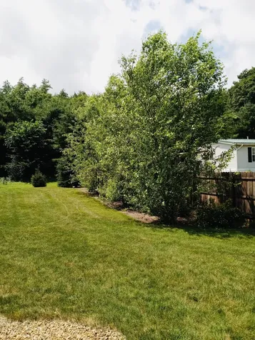 209 Valley Road New Durham NH 03855