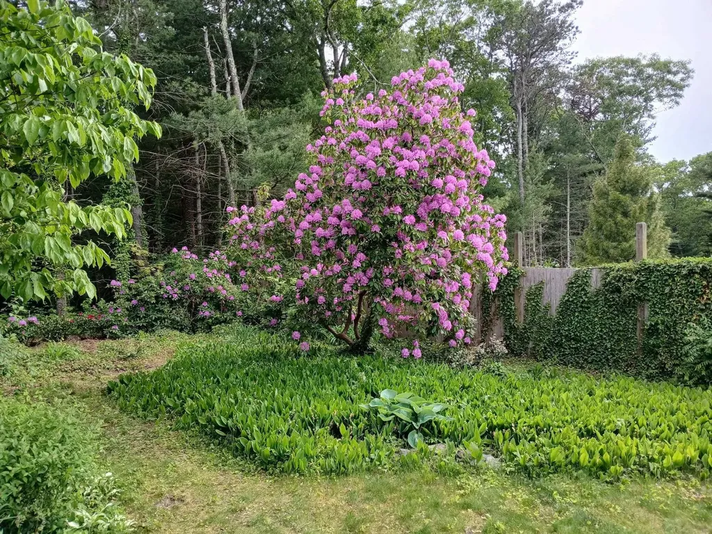 43 Poponessett Road Cotuit MA 02635