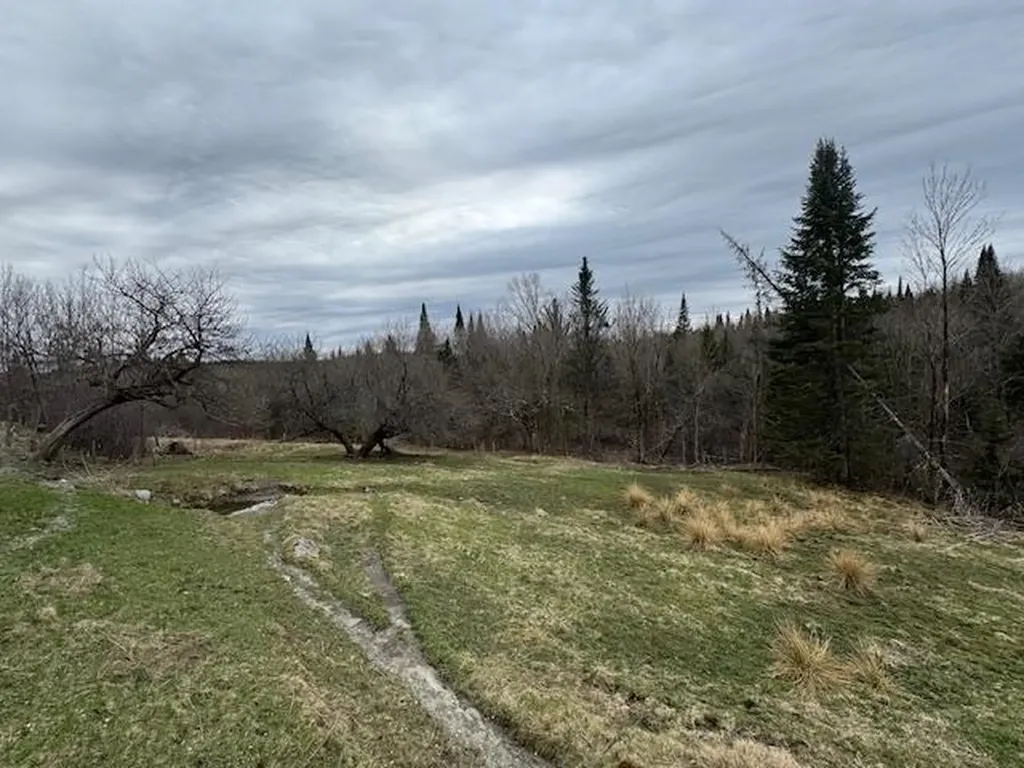 Collinsville Road Craftsbury VT 05826