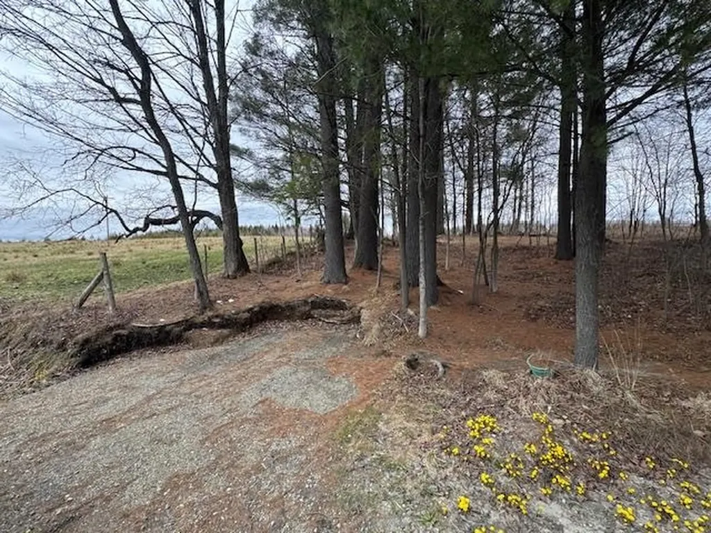 Collinsville Road Craftsbury VT 05826