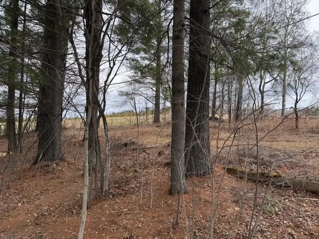 Collinsville Road Craftsbury VT 05826