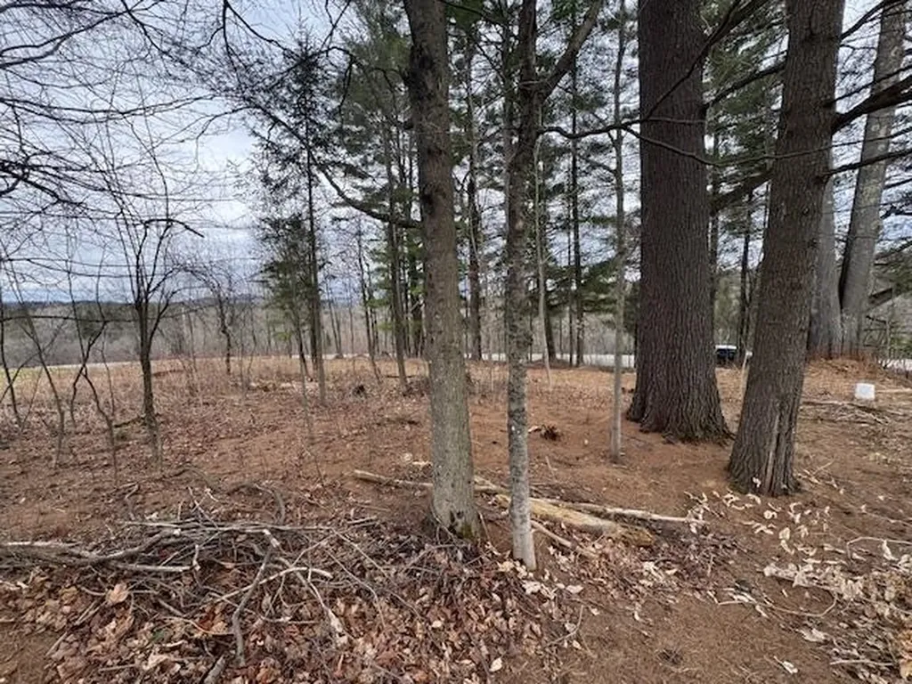 Collinsville Road Craftsbury VT 05826