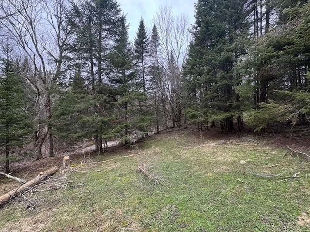 Collinsville Road Craftsbury VT 05826