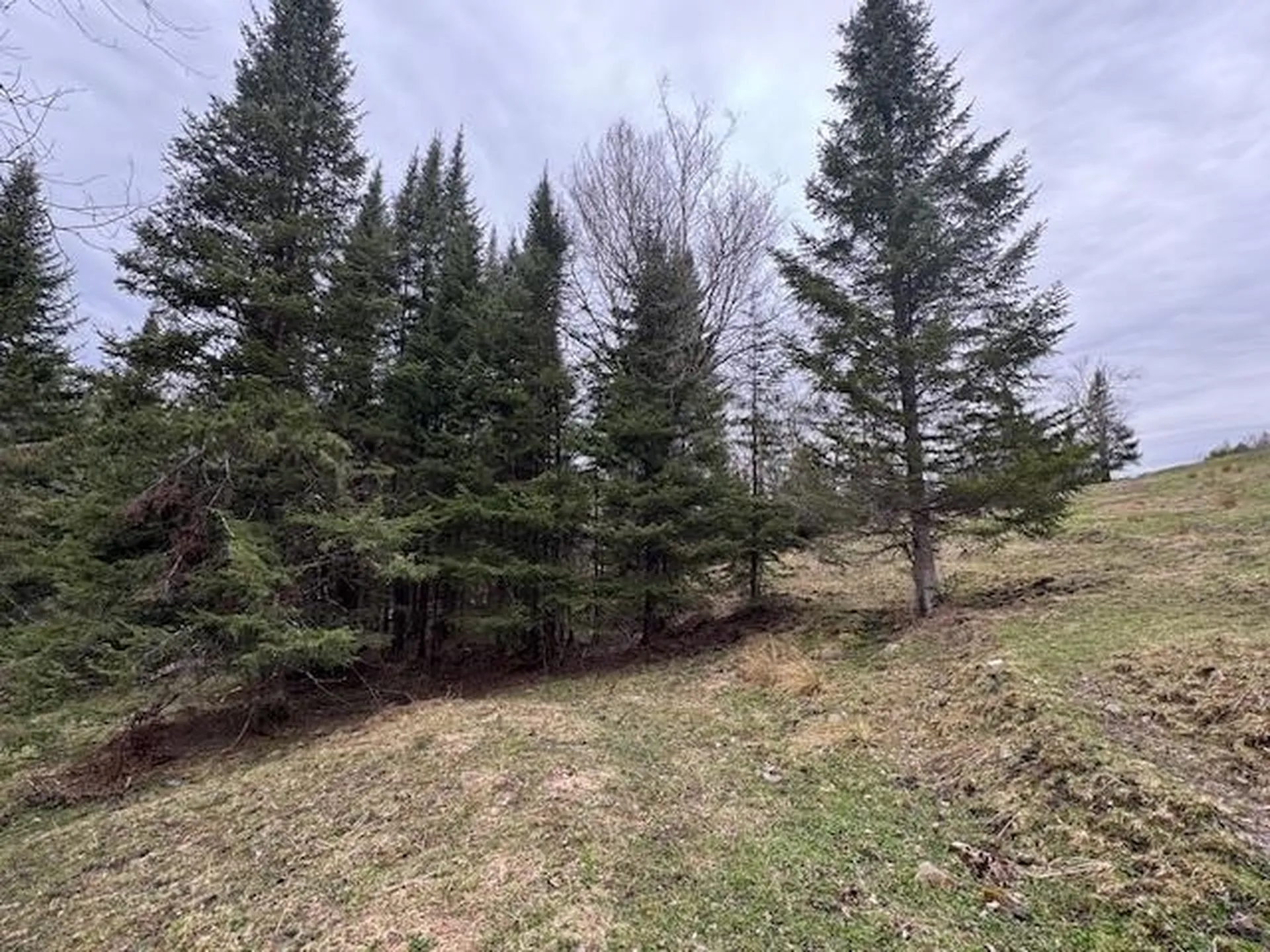 Collinsville Road Craftsbury VT 05826