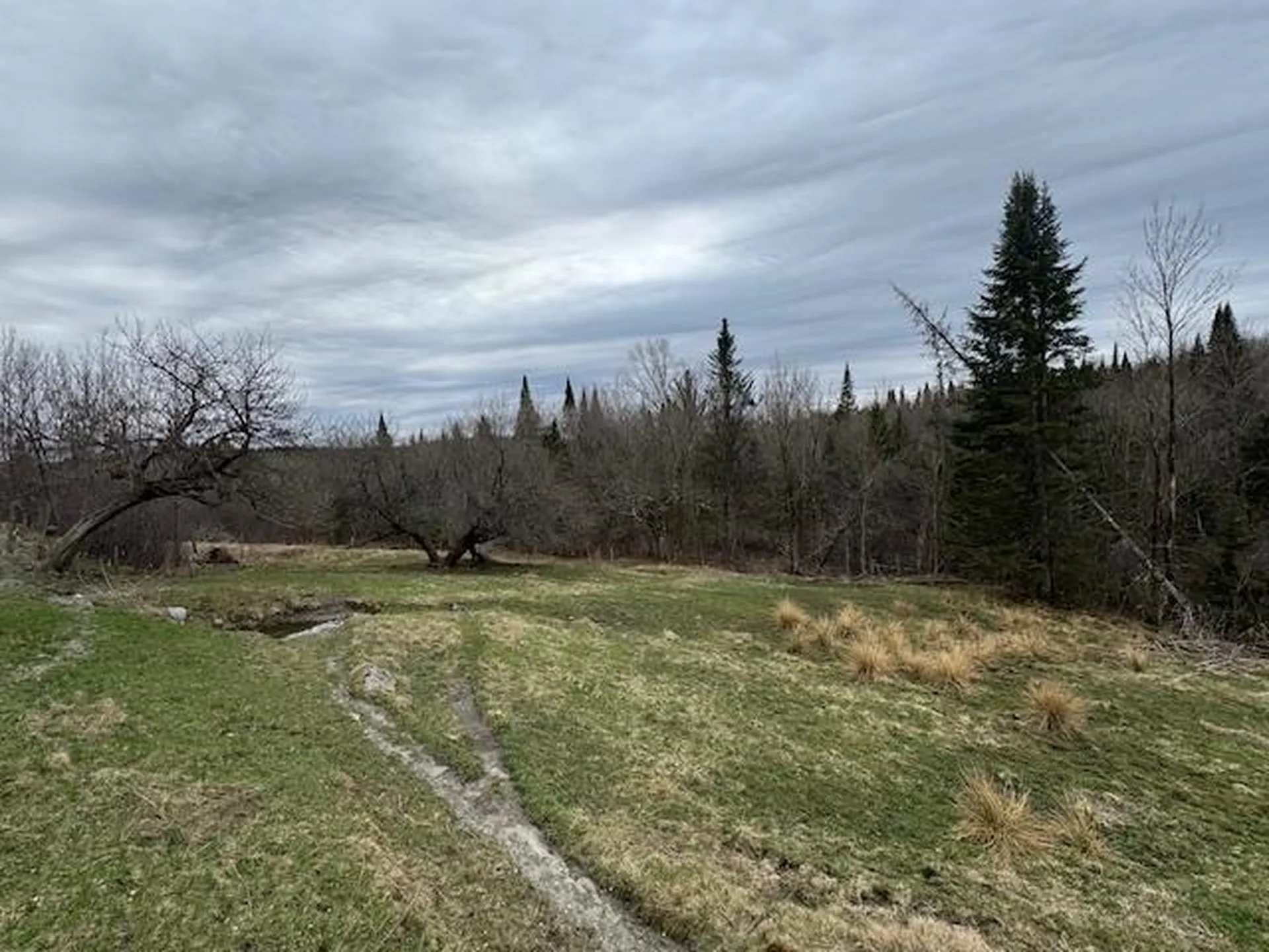 Collinsville Road Craftsbury VT 05826