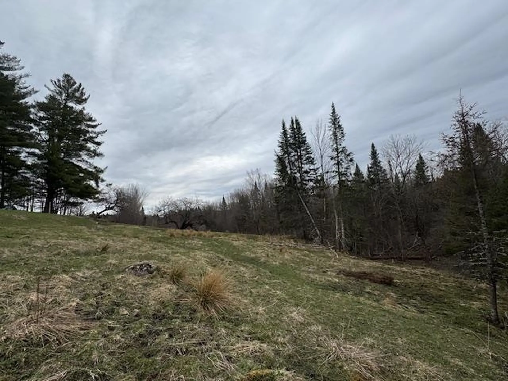 Collinsville Road Craftsbury VT 05826
