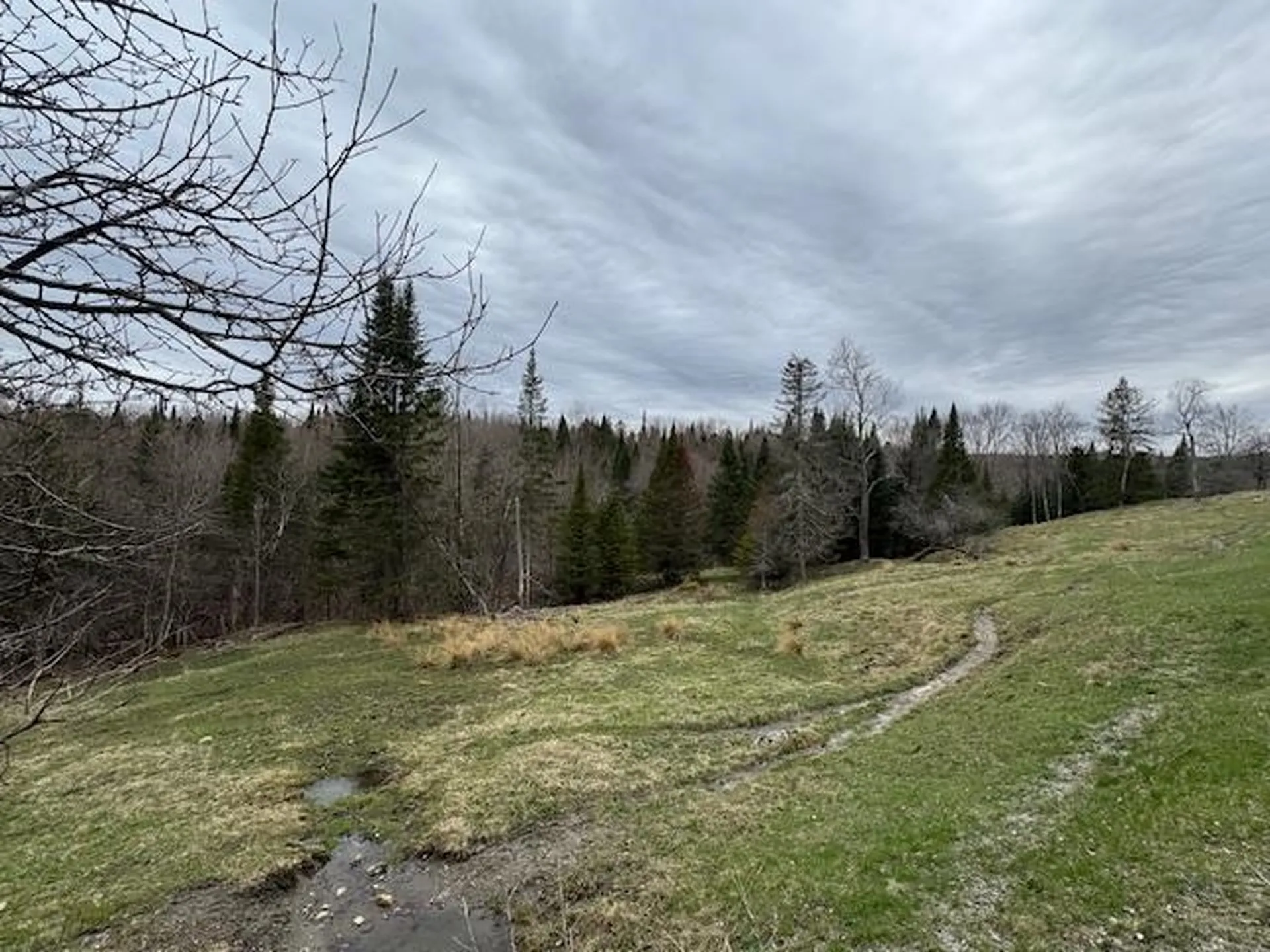 Collinsville Road Craftsbury VT 05826