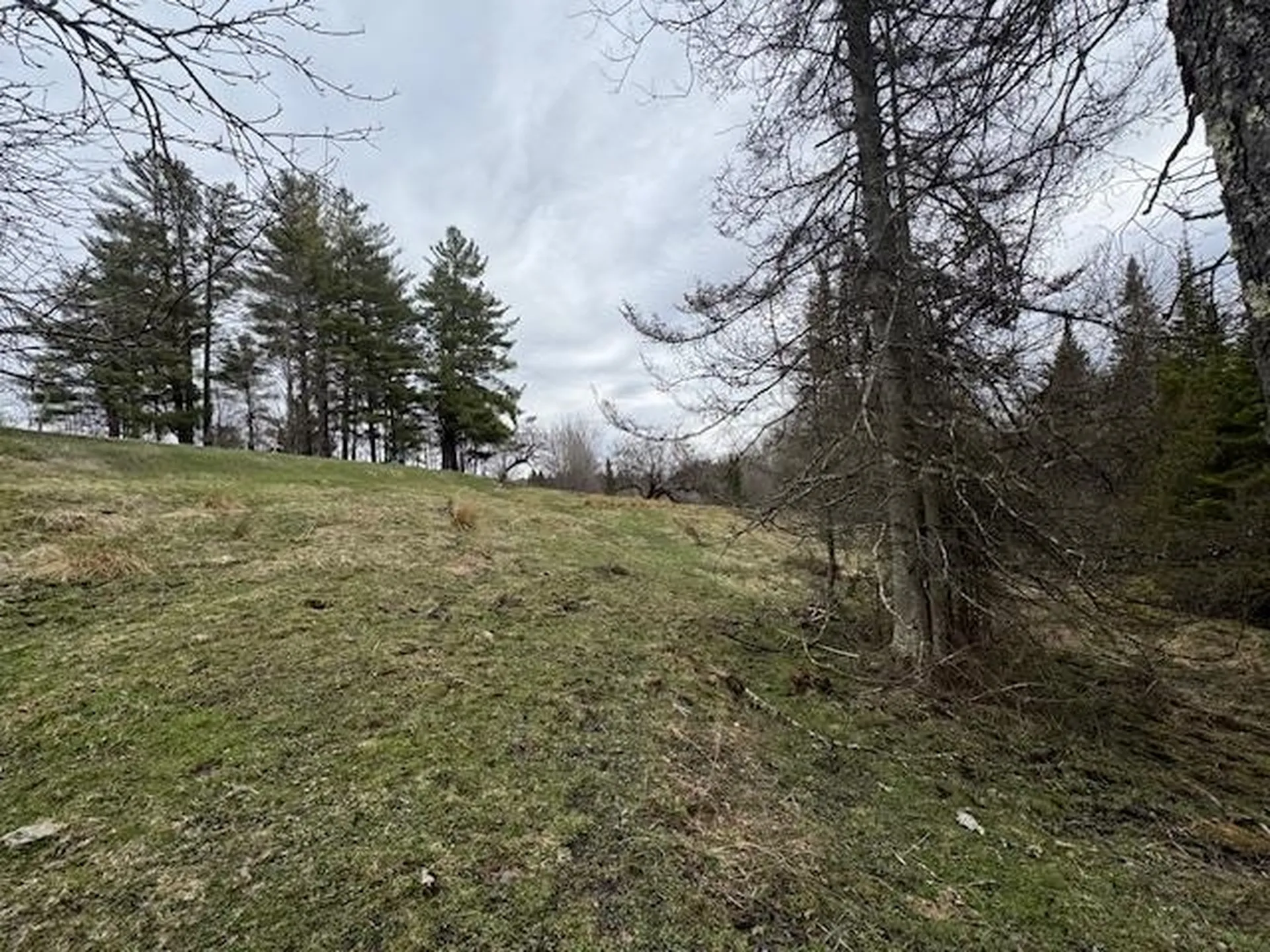 Collinsville Road Craftsbury VT 05826