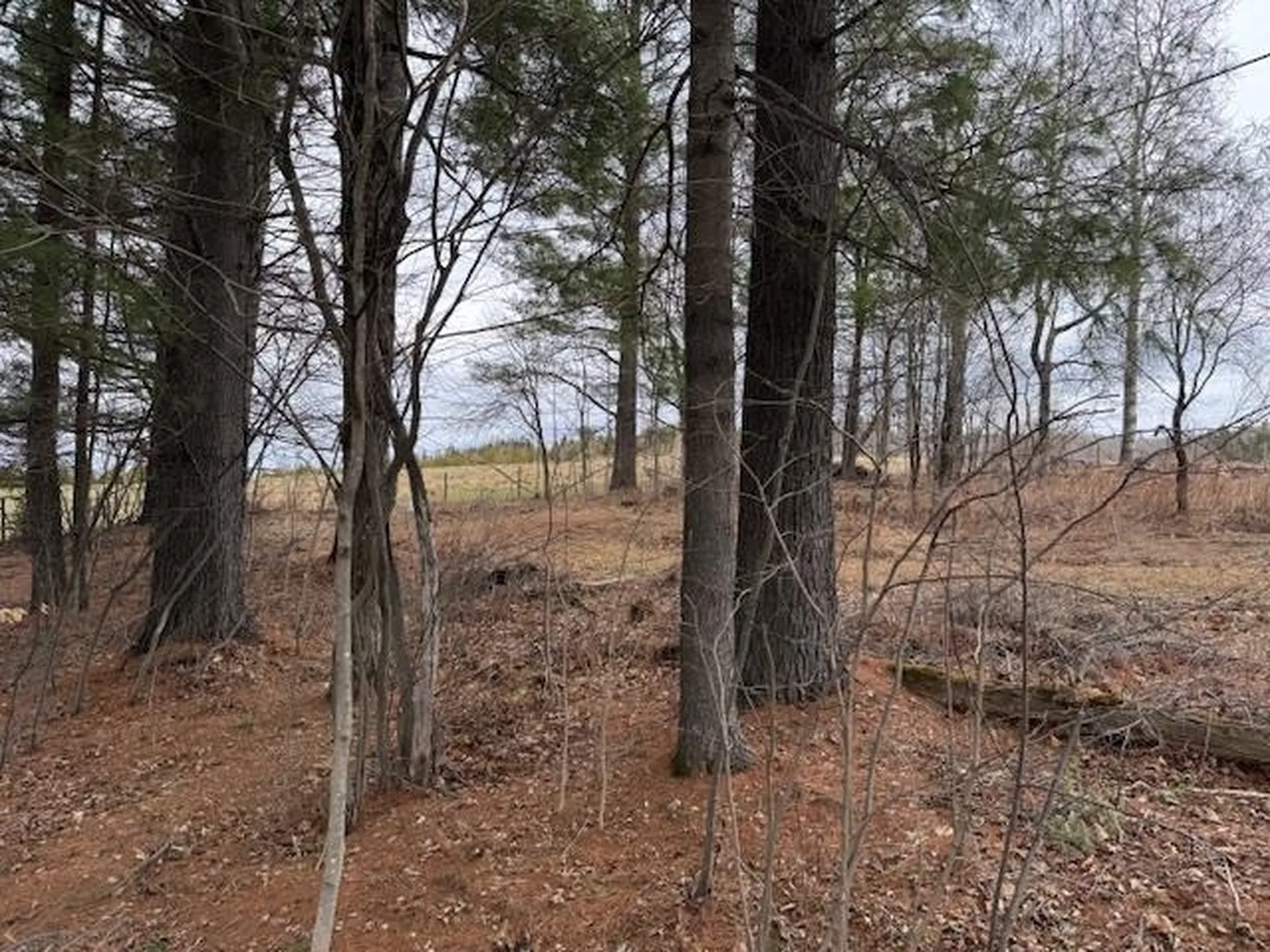 Collinsville Road Craftsbury VT 05826