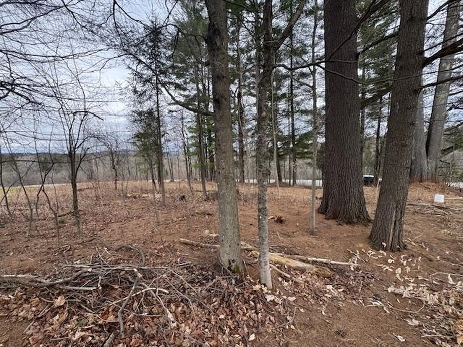 Collinsville Road Craftsbury VT 05826