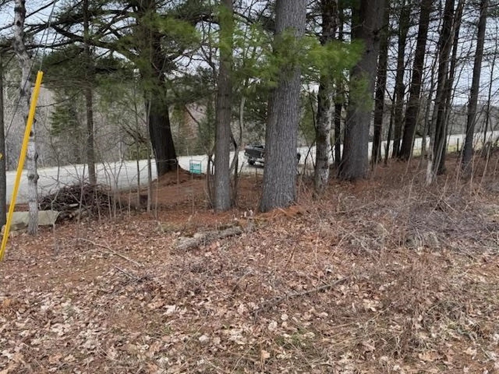 Collinsville Road Craftsbury VT 05826