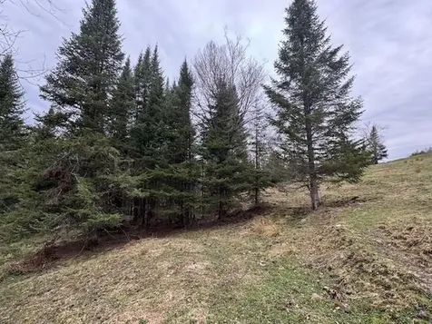 Collinsville Road Craftsbury VT 05826