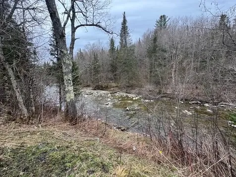 Collinsville Road Craftsbury VT 05826