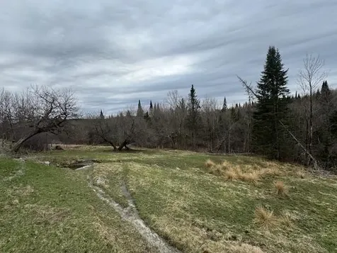 Collinsville Road Craftsbury VT 05826