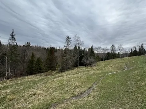 Collinsville Road Craftsbury VT 05826