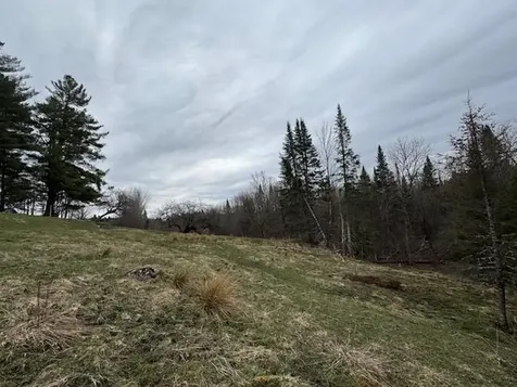 Collinsville Road Craftsbury VT 05826