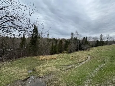 Collinsville Road Craftsbury VT 05826