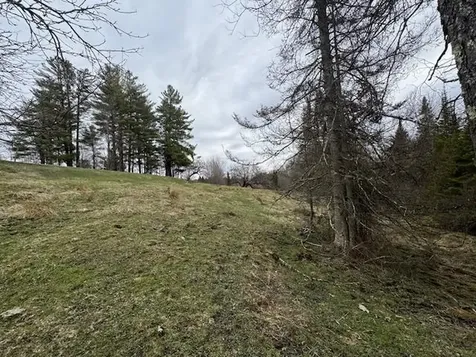 Collinsville Road Craftsbury VT 05826