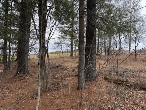 Collinsville Road Craftsbury VT 05826