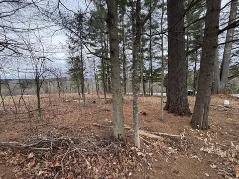 Collinsville Road Craftsbury VT 05826