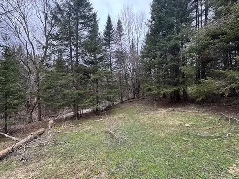 Collinsville Road Craftsbury VT 05826