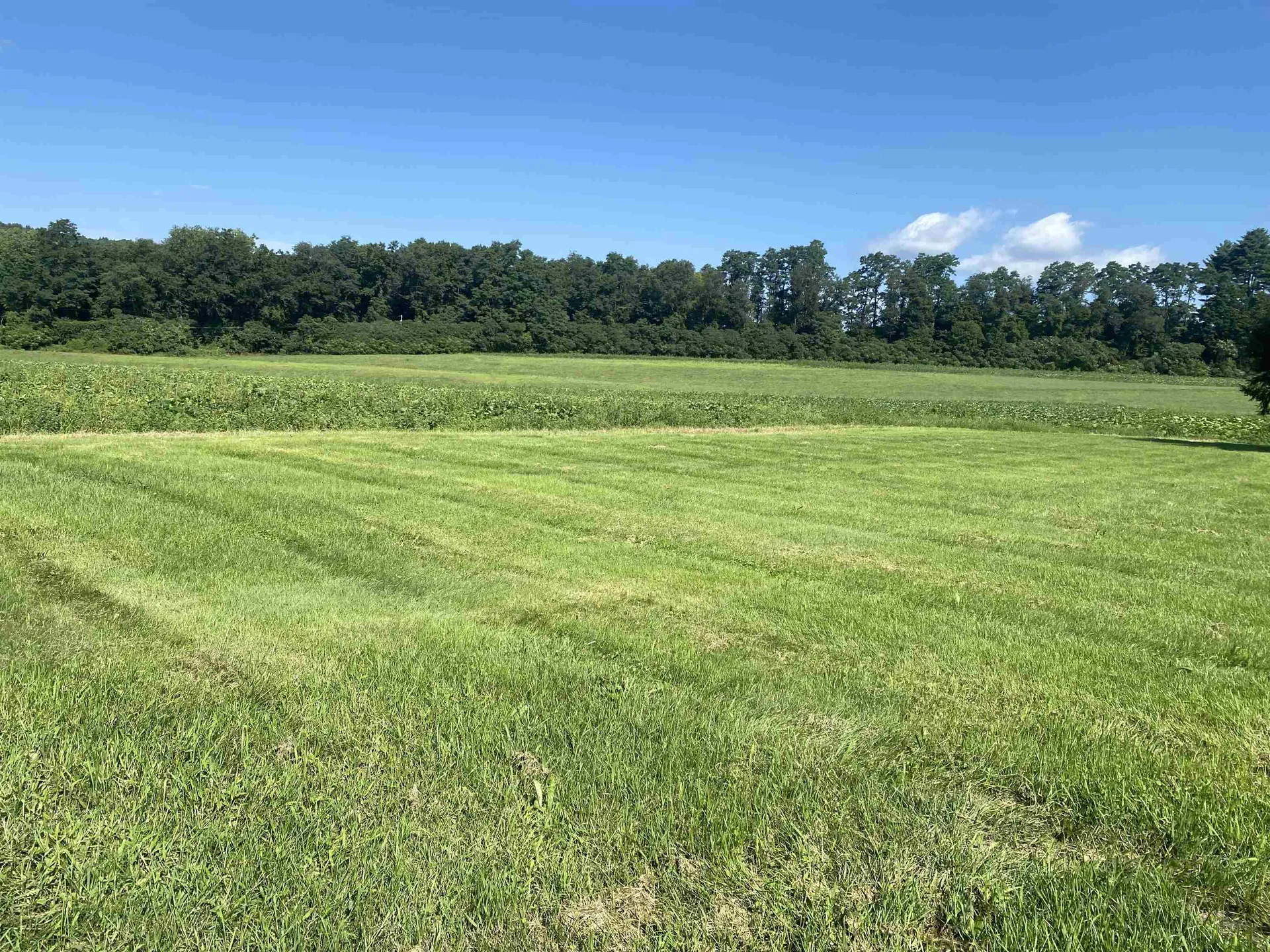 601 River Road Putney VT 05346