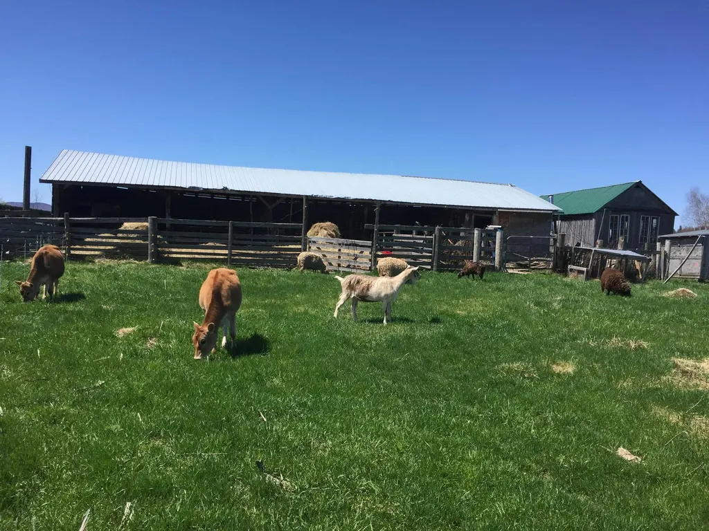 1602 Bear Mountain Road Troy VT 05859