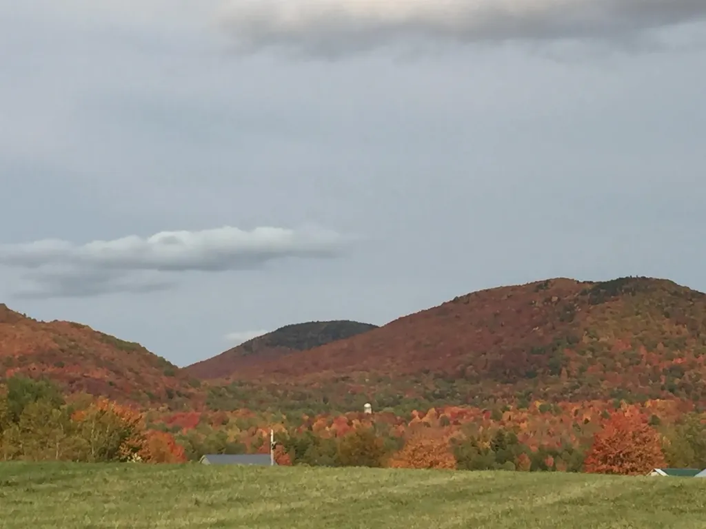 1602 Bear Mountain Road Troy VT 05859