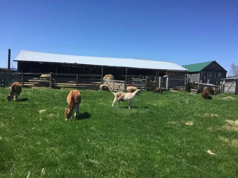 1602 Bear Mountain Road Troy VT 05859