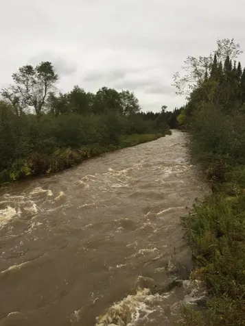 1602 Bear Mountain Road Troy VT 05859