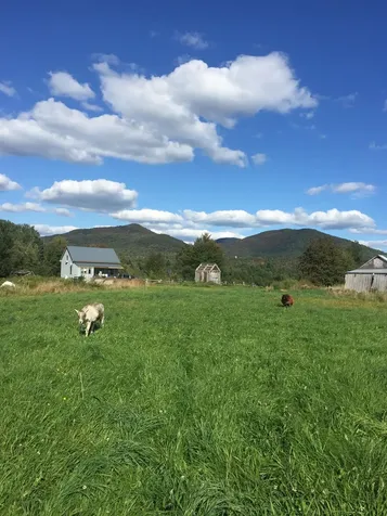 1602 Bear Mountain Road Troy VT 05859