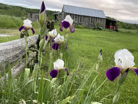 1602 Bear Mountain Road Troy VT 05859