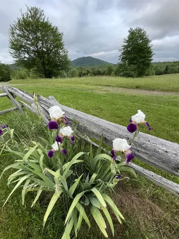 1602 Bear Mountain Road Troy VT 05859
