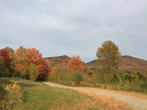 1602 Bear Mountain Road Troy VT 05859