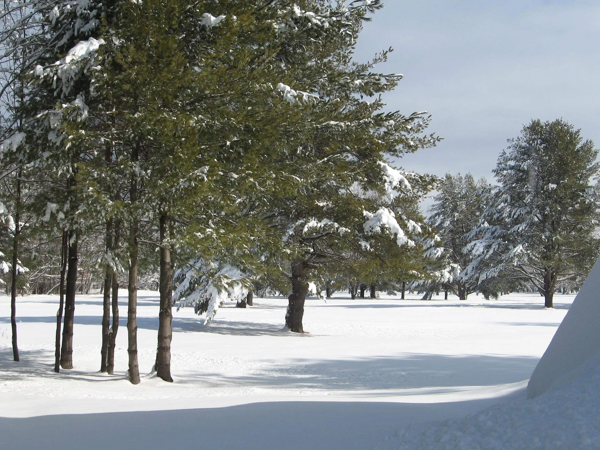 20 Barrington Circle Ossipee NH 03814