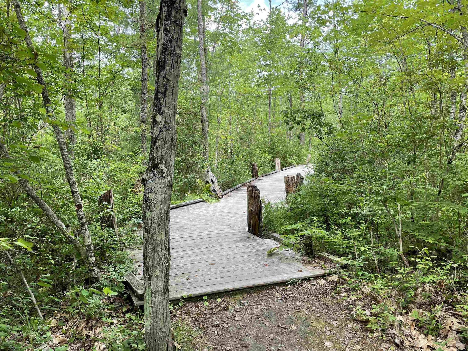 20 Barrington Circle Ossipee NH 03814