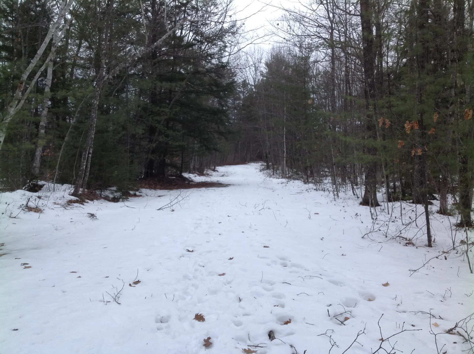 20 Barrington Circle Ossipee NH 03814