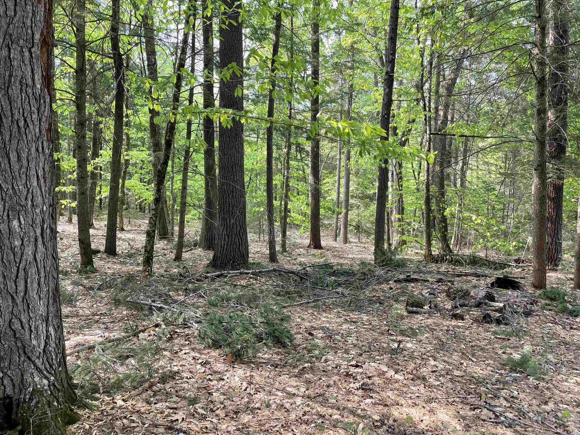 20 Barrington Circle Ossipee NH 03814