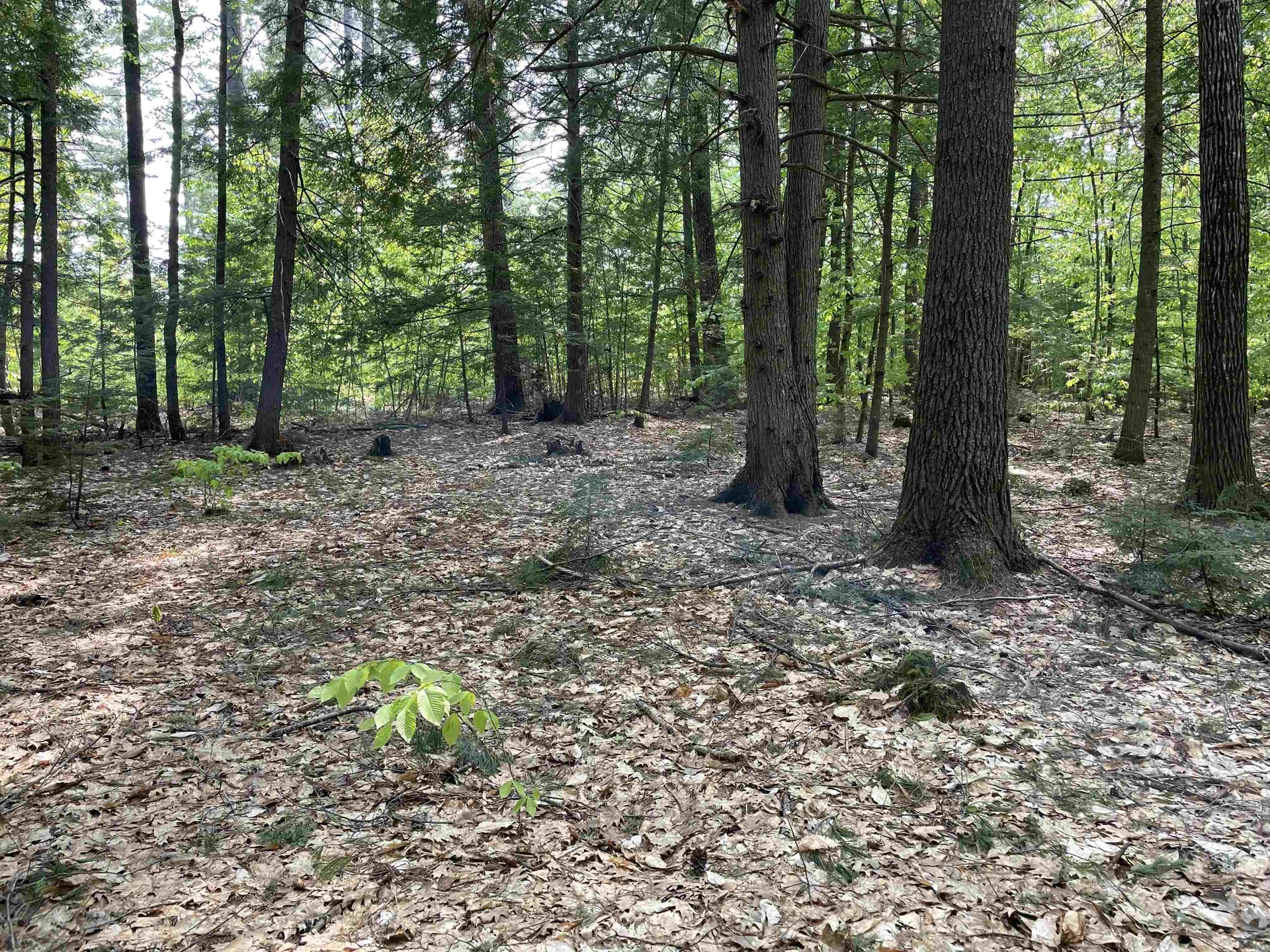 20 Barrington Circle Ossipee NH 03814