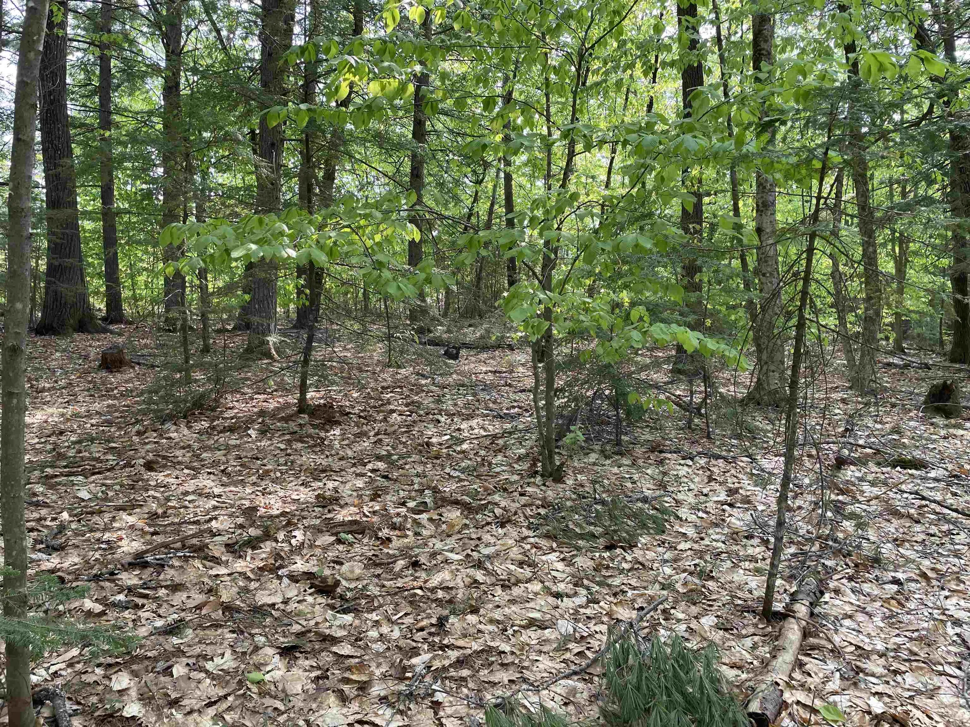 20 Barrington Circle Ossipee NH 03814