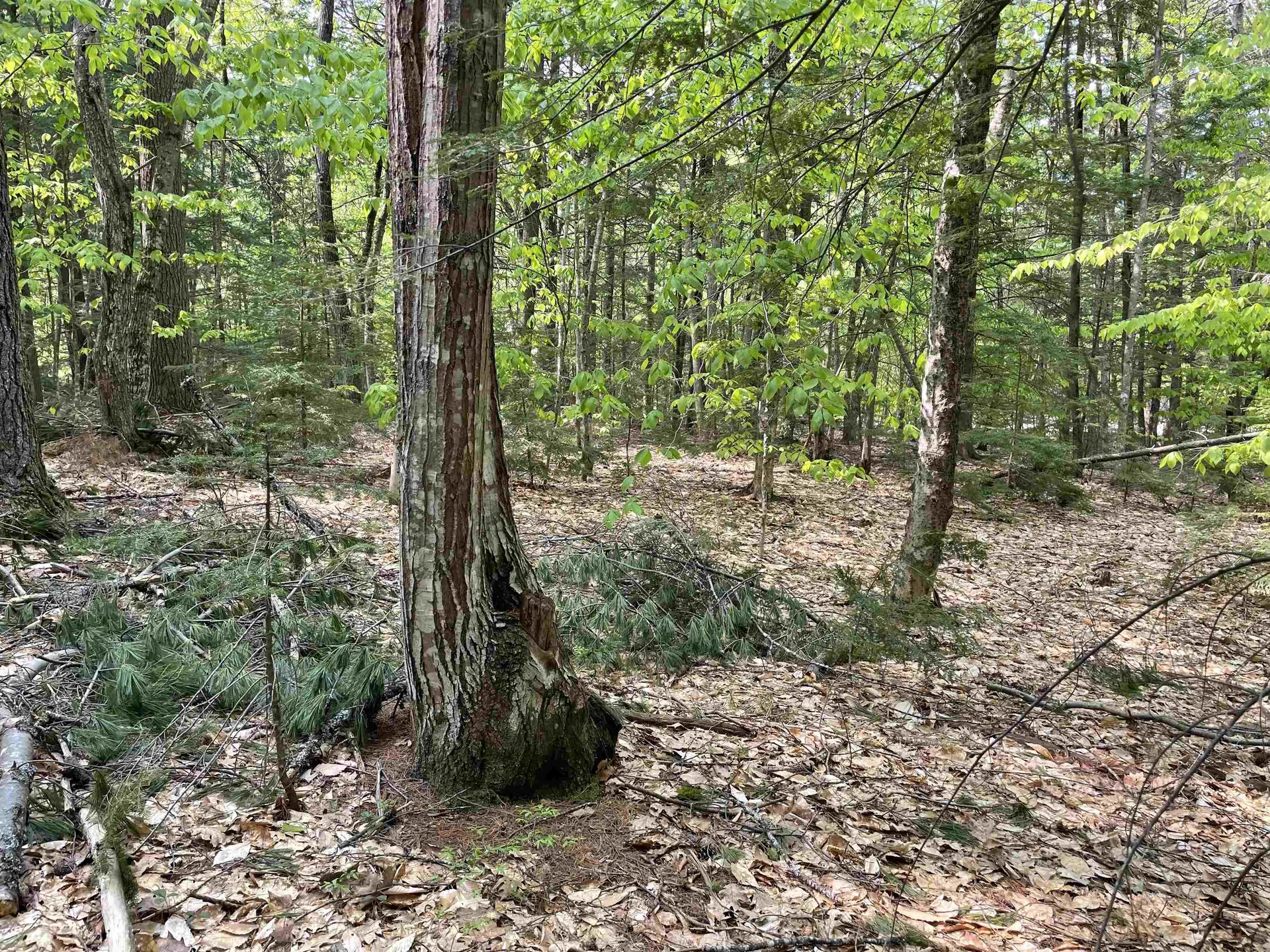 20 Barrington Circle Ossipee NH 03814